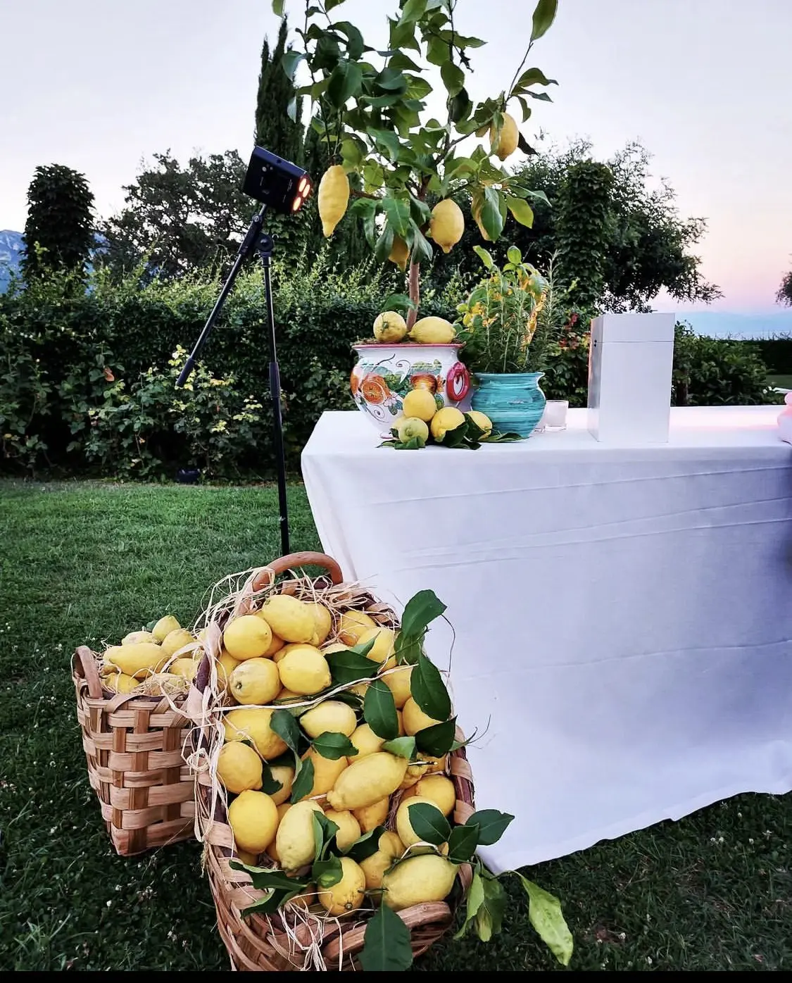 Baskets of lemons beside a styling table dressed with a potted lemon tree and hand-painted ceramics at dusk